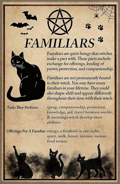 The role of the bewitched cat in divination and fortune-telling practices